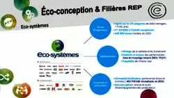 Eco-conception & Filières REP : Eco-systèmes