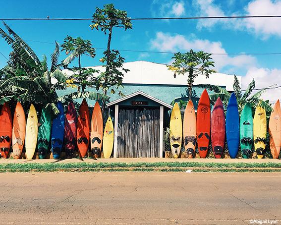 Article : Quel engagement écologique pour les marques de surf ?