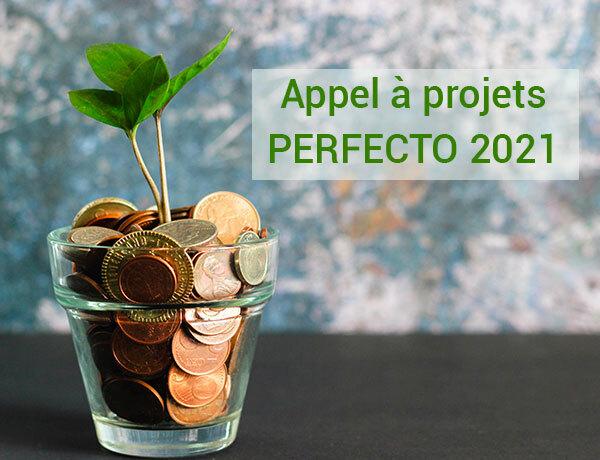 Appel à projets PERFECTO 2021 : le webinaire du 23 octobre vous donnera tous les détails !