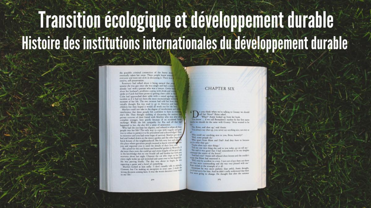 Les conférences du Pôle #3 : Histoire des institutions internationales du développement durable